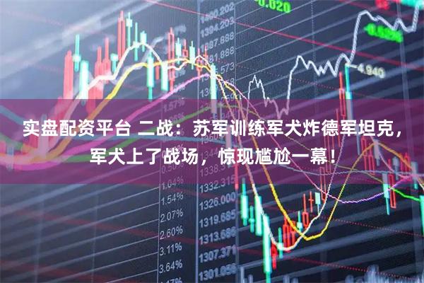 实盘配资平台 二战：苏军训练军犬炸德军坦克，军犬上了战场，惊现尴尬一幕！